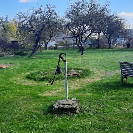 House With Spacious Garden And A Simple Sauna