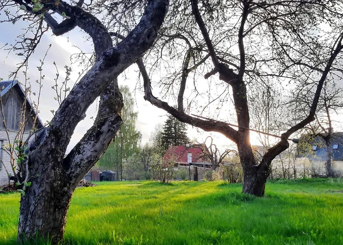 House With Spacious Garden And A Simple Sauna * Poltsamaa